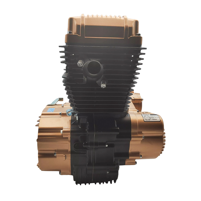 Zongshen CG200cc Single Cylind - Engine Parts Motorcycle recension och pris